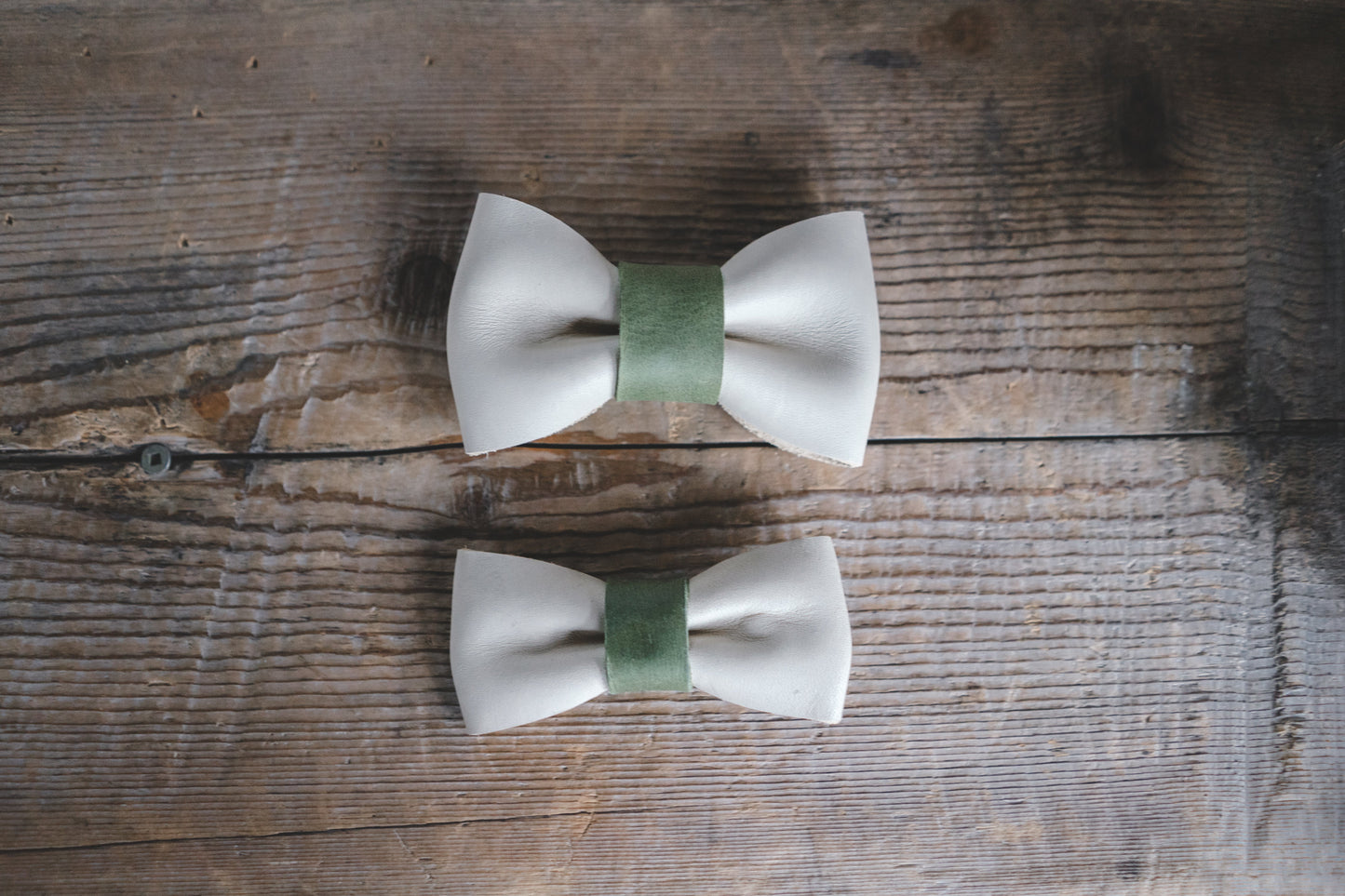 Bow Tie