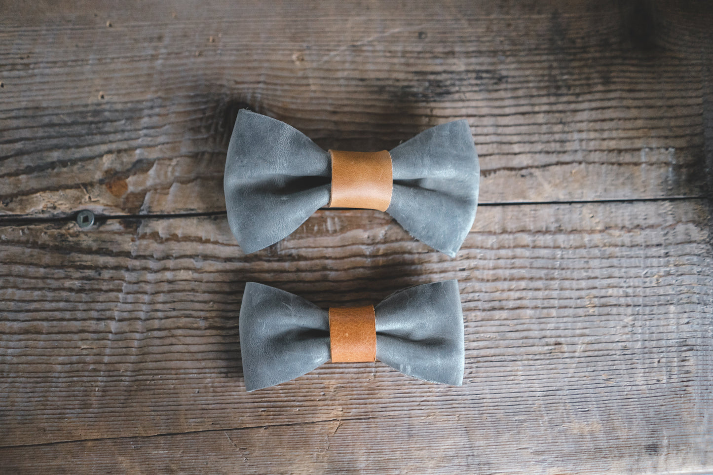 Bow Tie